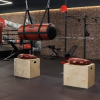 Плиобоксы + Тумба для запрыгивания фанера