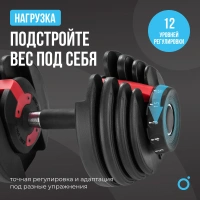 Гантели + Гантель регулируемая OXYGEN FITNESS FLEXER 24 кг