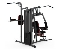 Мультистанции + Силовой комплекс DFC D7004 (D7003 + опция брусья)