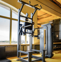 Грузоблочные тренажеры + BRONZE GYM BW-3009 Гравитрон