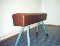 Гимнастическое оборудование + Конь гимнастический прыжковый ГО-1