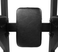 Скамьи + BRONZE GYM AL-310 Стойка турник/пресс/брусья