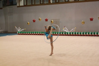 Гимнастическое оборудование + Соревновательный ковер для художественной гимнастики, размер 14х14м. толщина 10мм IMP-A409