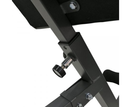 Гиперэкстензия + Гиперэкстензия DFC Homegym SJ1006