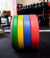 Диски с посадочным диаметром 51 мм + Диски каучуковые EVO, цветные