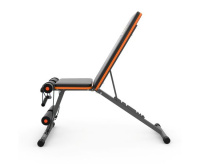 Скамьи + Cкамья силовая универсальная DFC с эспандерами DCH310