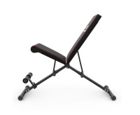 Скамьи + Скамья силовая универсальная DFC B-ADVENOR