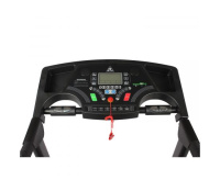 Беговые дорожки + Беговая дорожка DFC SIENTA T625