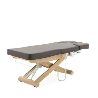 Массажные столы + Массажный стол электричеcкий Med-Mos ММ-940-2В КО-162Д-00