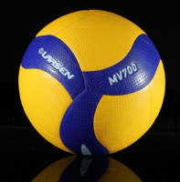 Волейбольные мячи + Мяч волейбольный Larsen MV700