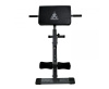 Гиперэкстензия + Гиперэкстензия DFC Homegym SJ1007