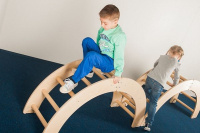 Физкультурно-развивающее + Колесо-трансформер