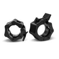 BRONZE GYM BGCLP41 Замки-клипса