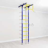 Шведские стенки + ДСКМ "Romana R1" (01.20.7.06.490.01.00-08) синяя слива