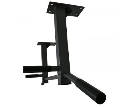 Турники + Турник потолочный DFC Homegym G486