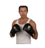 Перчатки боксерские + Перчатки боксерские Premium