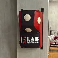 Подушки боксерские + Апперкотная подушка WB1