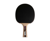 Ракетки для настольного тенниса + Ракетка DONIC LEGENDS 800