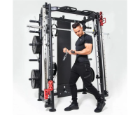 Мультистанции + Мультистанция, машина Смита DFC Gorilla Sport 100822