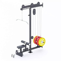 Тренажеры силовые нагружаемые дисками + Блок, верхняя/нижняя тяга, нагружаемый дисками