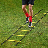 Оборудование для легкой атлетики + Лестница для тренировок дл. 8 м, шир. 51 см, пластик, полиэстер, желт-черный