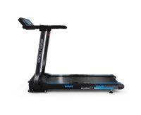 Беговые дорожки + Беговая дорожка DFC GINTELL SMARTREK PLUS