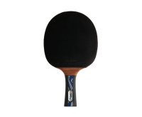 Ракетки для настольного тенниса + Ракетка DONIC LEGENDS PLATINUM