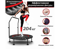 Батуты + Батут для фитнеса DFC KENSONE 48" BSD-48-Black с поручнем