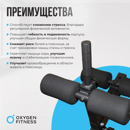 Скамьи + Складная скамья домашняя OXYGEN FITNESS FOLDINGPRO