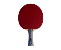 Ракетки для настольного тенниса + Ракетка DONIC Testra PRO