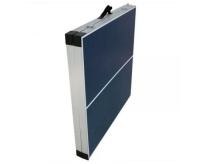 Настольный теннис + Теннисный стол детский DFC DS-T-009